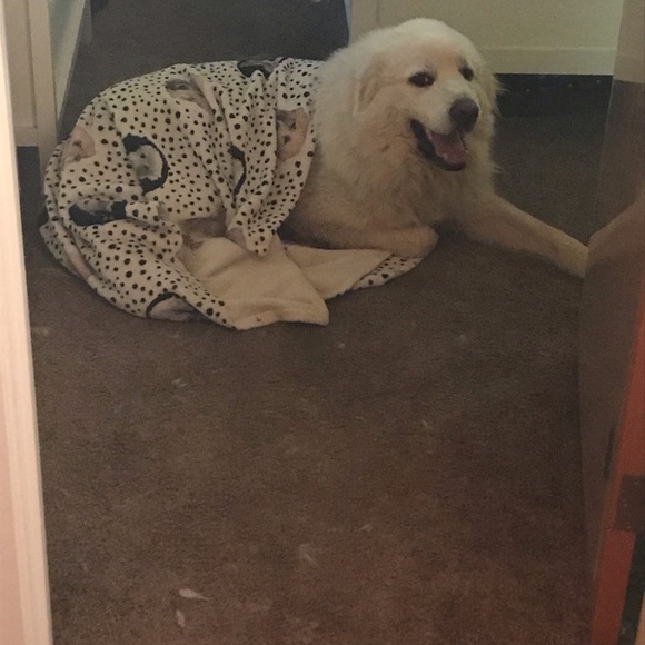 Meet your Posher, Aaron - Picture 1 of 1